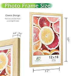FrameWorks 2-Pack, 12x18 Matted to 11x17 Picture