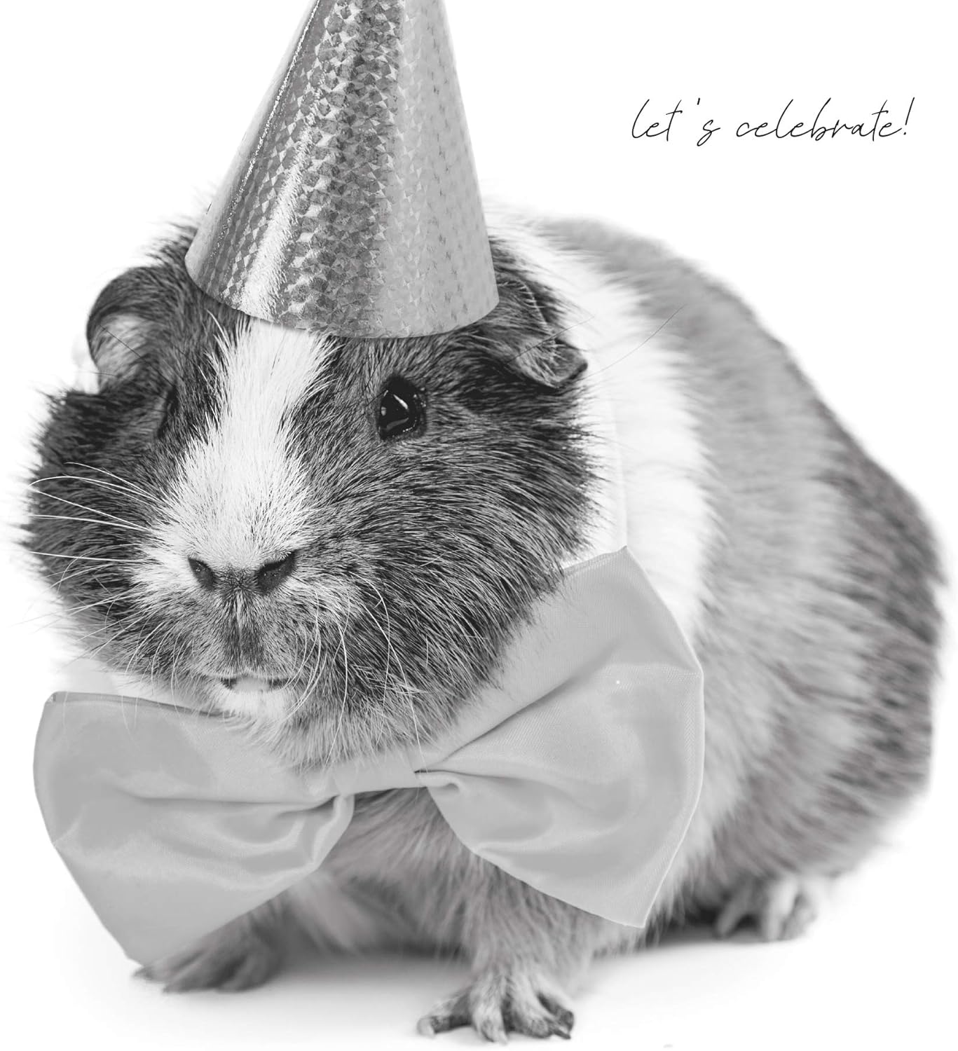 In Black & White, Birthday Card for Him Male Birthday Card, Funny Birthday Card for Him, Multi, 163x163mm
