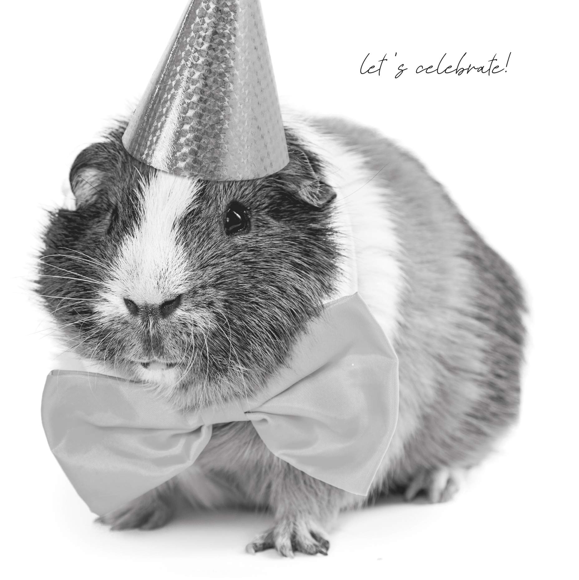 In Black & White, Birthday Card for Him, Male Birthday Card, Funny Birthday Card for Him