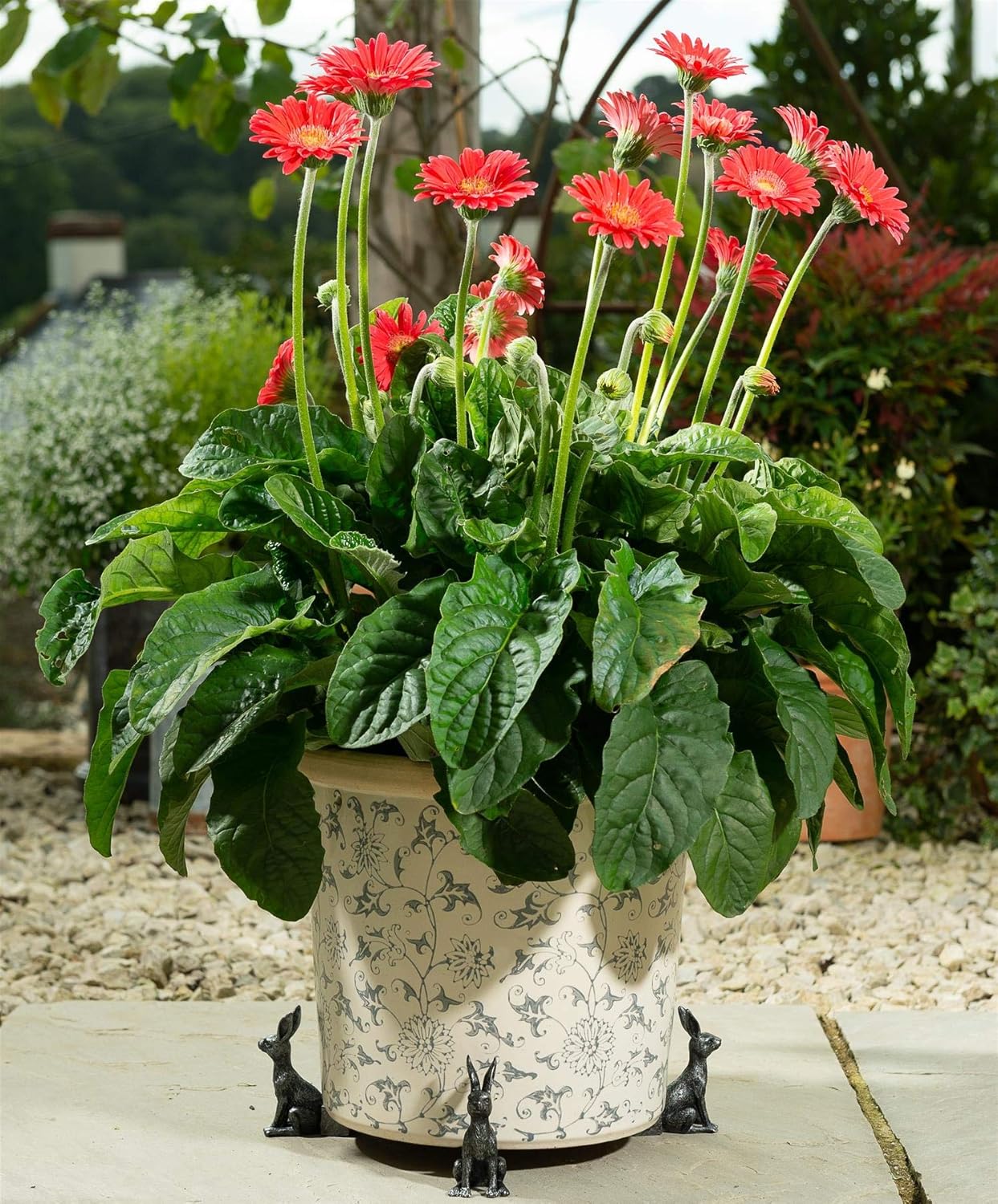 Potty Feet Hare Figures Plant Pot Feet - Planter Support - Handmade Decorative Ornaments - 3pcs, Bronze