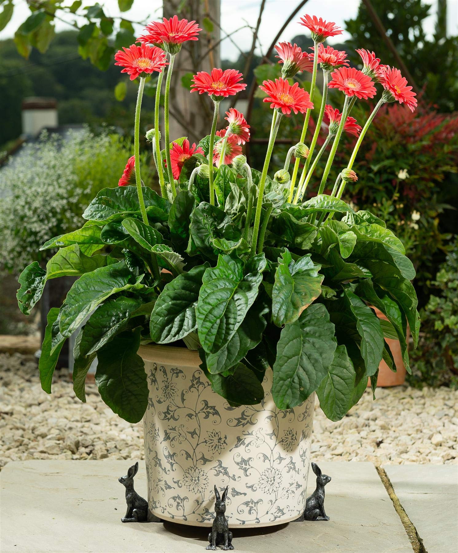 Potty Feet Hare Figures Plant Pot Feet - Planter Support - Handmade Decorative Ornaments - 3pcs