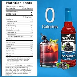 Syruvia Sugar Free Blackberry Syrup With Syrup Pump
