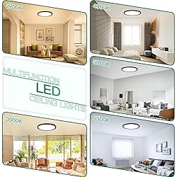 Brightever Black LED Flush Mount Ceiling Light