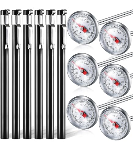 4 Stück Edelstahl Küchenthermometer | Sofortablesbar | 2,5 Cm Zifferblatt | Mit Hüllen