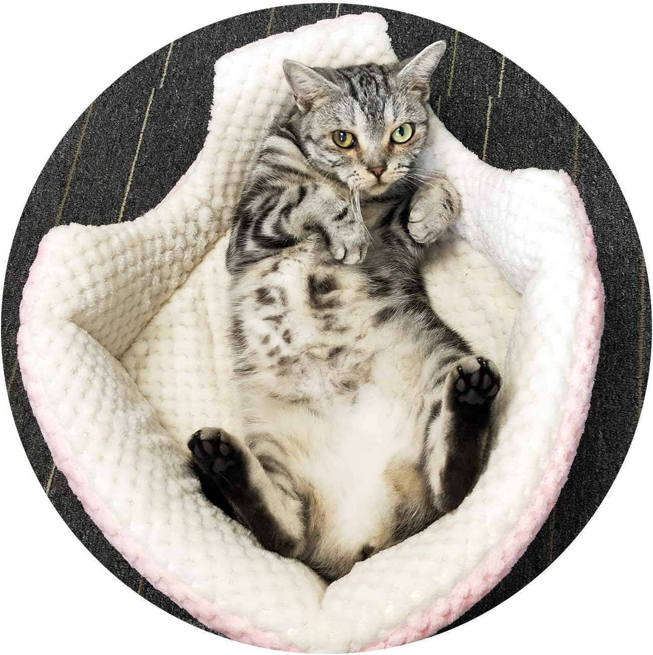 Petper Cat Bed, Cat Self Warming Bed & Sofa, Pink : Pet Supplies