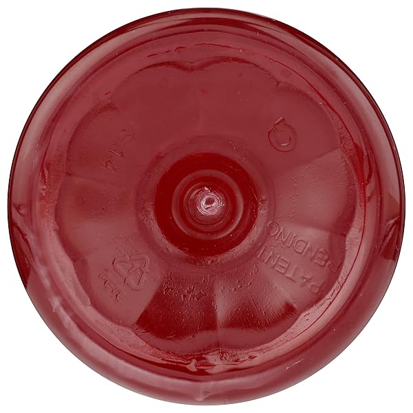 365 BY WHOLE FOODS MARKET, FRUIT PUNCH SPORTS DRINK, 20 FL OZ