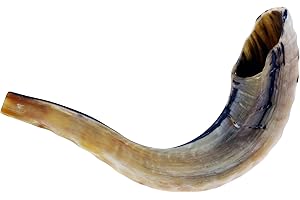 Judaica Mega Mall Shofar (B4