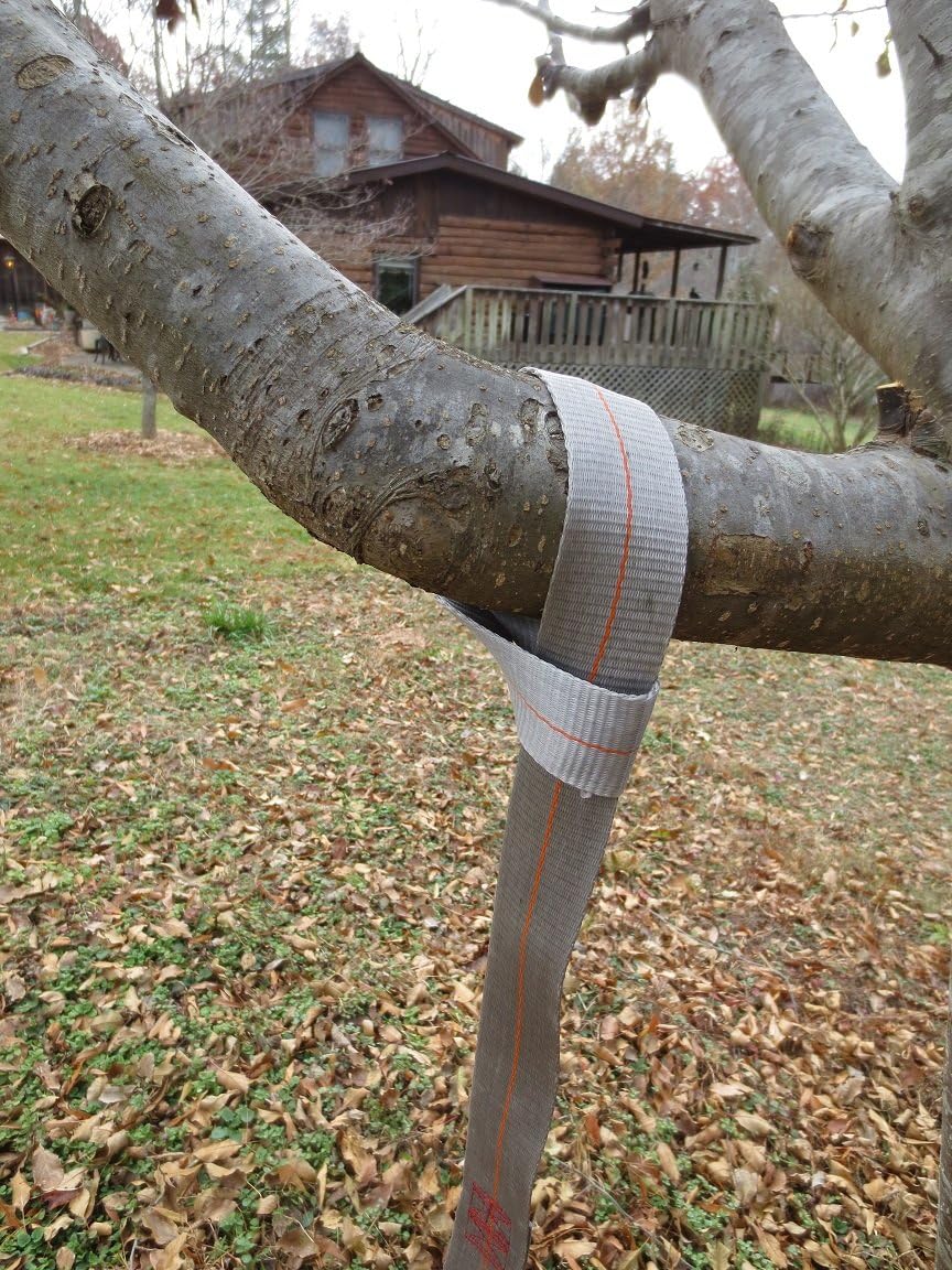 Wood Tree Swings 36" Tree Swing Hanging Strap with Safer Screw Lock Snap Hooks Heavy Duty Webbing Not Seat Belt Material: Toys & Games
