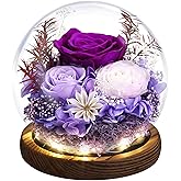 Emibele Valentines Eternal Rose Gifts for Her Girlfriend, Preserved Real Rose in Glass Dome with LED Light, Flowers for Delivery Prime, Birthday Anniversary for Women Wife Mom
