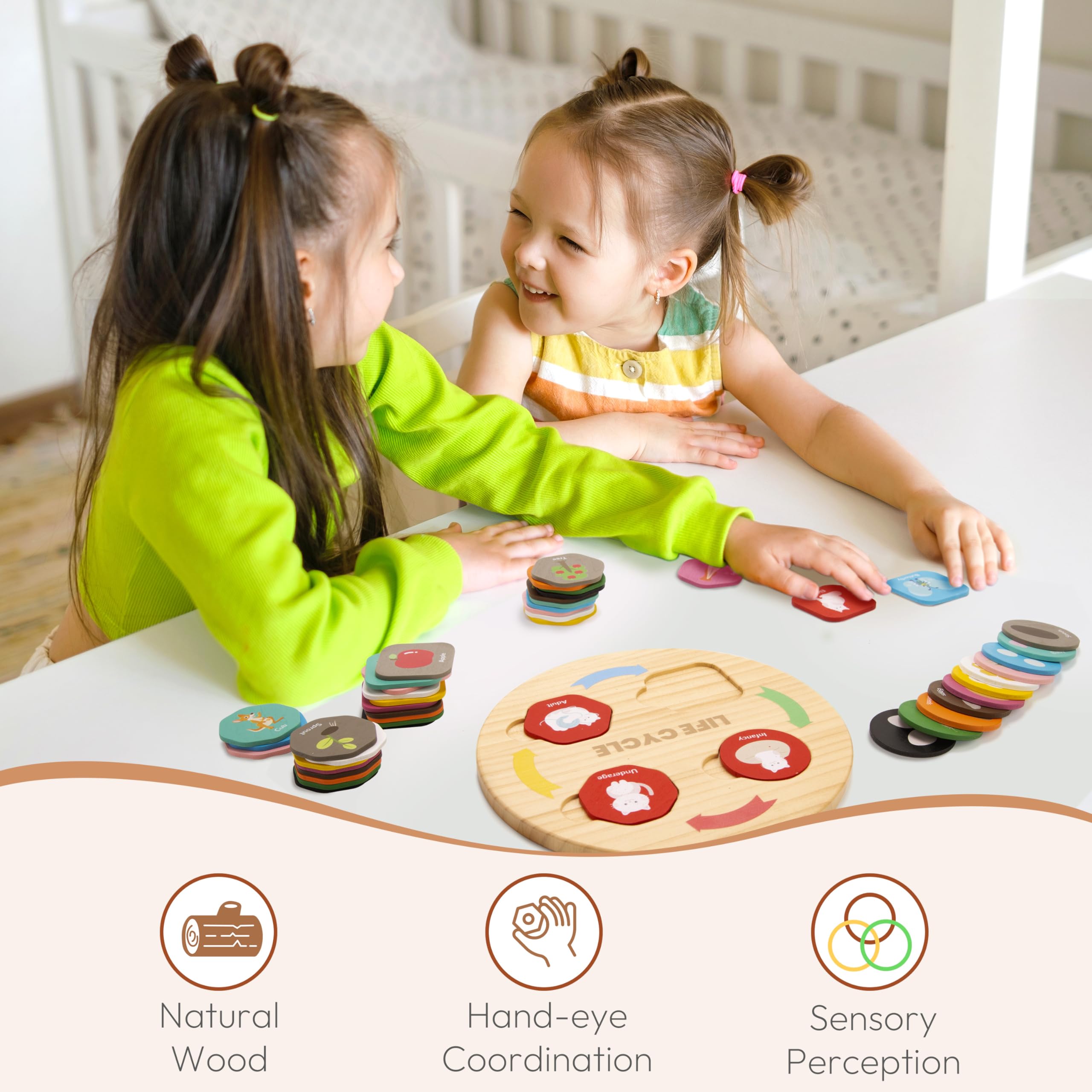 Life Cycle Toys for Kids, 12 Themes Montessori Preschool Science Center Materials, Wooden Learning & Educational Toys for Toddlers, Learning Game Travel Gift STEM Toys for Boys Girls Age 3-6