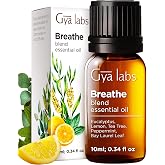 Gya Labs Breathe Essential Oil Blend - 0.34 Fl Oz - for Diffuser, Hair | 100% Pure Natural Breathe Easy Eucalyptus &amp; Peppermint and More Blend for Humidifier &amp; Diffuser - Cleanses &amp; Clears the Air