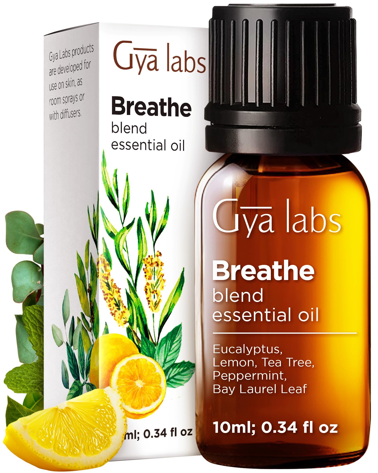 Gya Labs Breathe Essential Oil Blends - 100% Pure Natural Breathe Easy Essential Oils from Eucalyptus, Peppermint and More for Humidifier Cleaner (10ml)