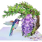 HEARTAGS- Pop Up Birthday Card for Women, Hummingbird Wisteria Pop Up Birthday Card For Mom, Wife, Sister, Daughter, Grandma, 6x8 in 3D Popup Greeting Cards Includes Envelope And Message Note