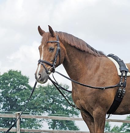 Standing Draw Rein Basic Full Black Np Amazon Co Uk Pet Supplies