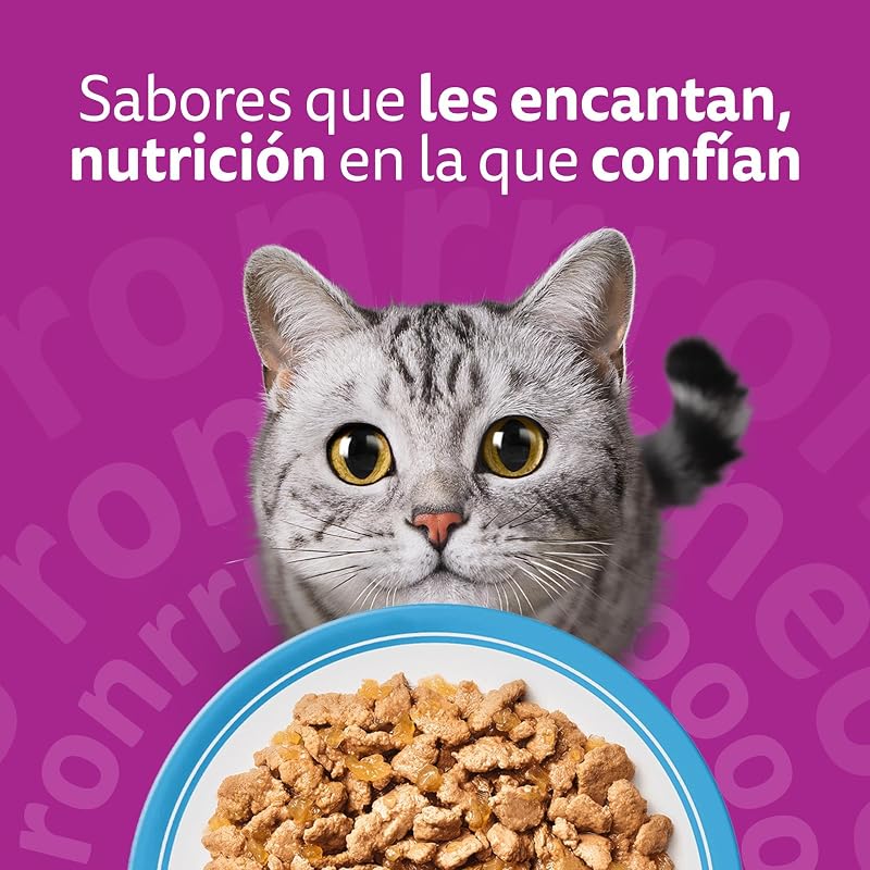 Comida Húmeda para Gatos Adultos Selección Pescados en Gelatina (Multipack 4x12x85g)