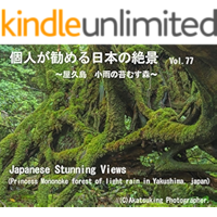 Princess Mononoke forest of light rain in Yakushima: Princess Mononoke forest of light rain in Yakushima Japanese… book cover