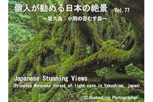 Princess Mononoke forest of light rain in Yakushima: Princess Mononoke forest of light rain in Yakushima Japanese Stunning Vi