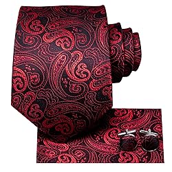Hi-Tie 3 Pcs Gift Box Mens Tie Set Necktie with