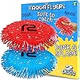 Amazon.com: Beach Games Flying Disc Pool Toy: 2 Pack Water Discs for ...