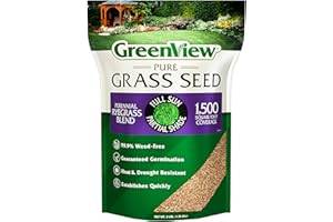 GreenView Pure Grass Seed Perennial Ryegrass Blend, 3 lb. Bag – Covers up to 1,500 sq. ft.