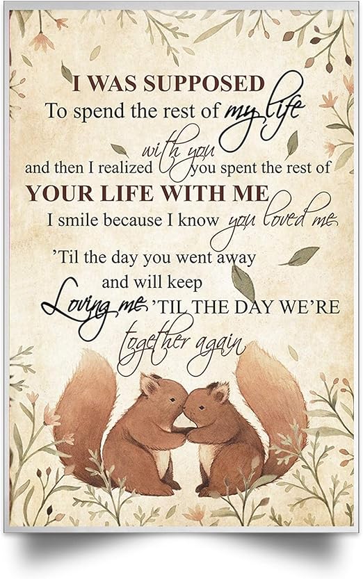 Get Ardilla En Ingles Squirrel Background