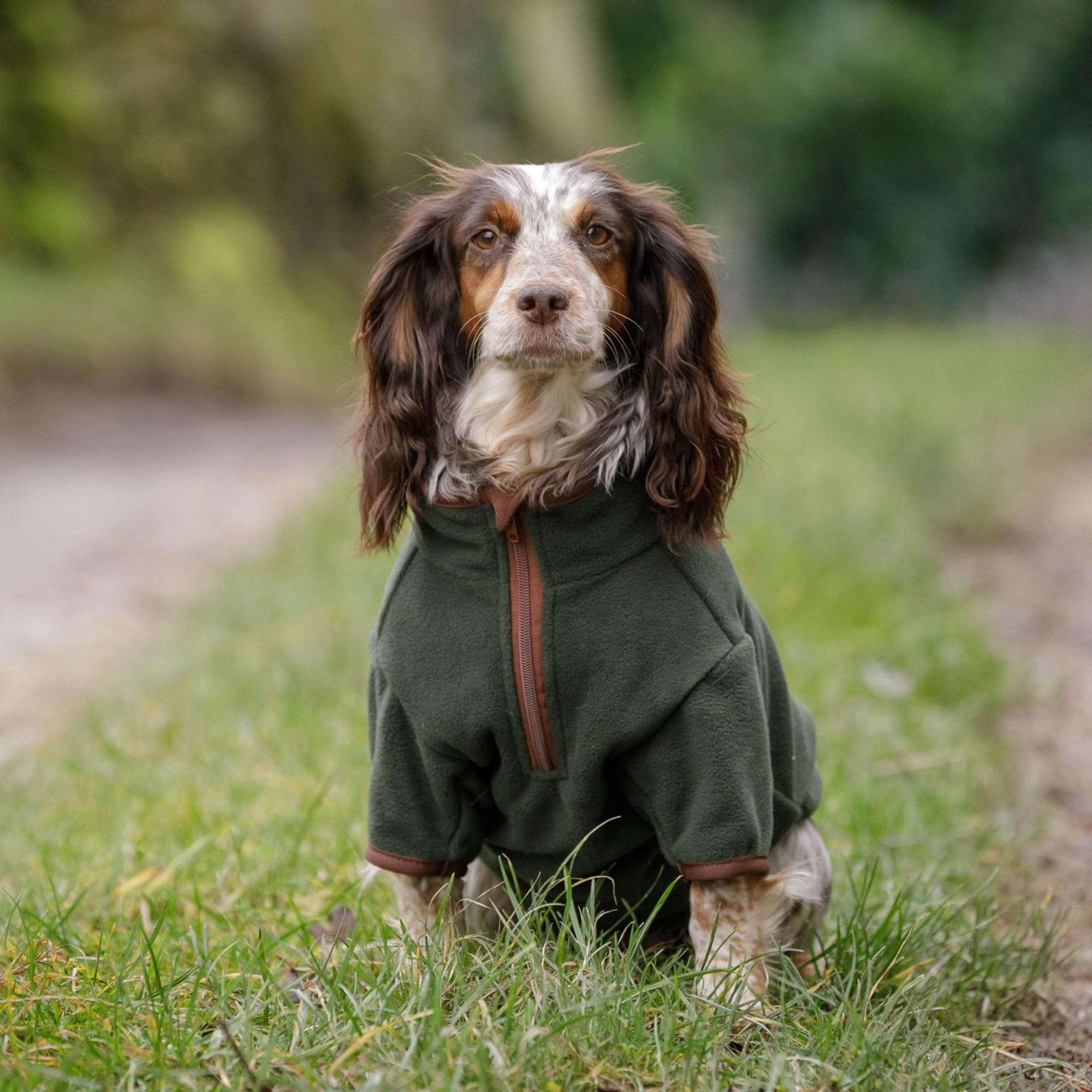 Dog & Field Duel Layer Towelling Coat, Light Green, XS
