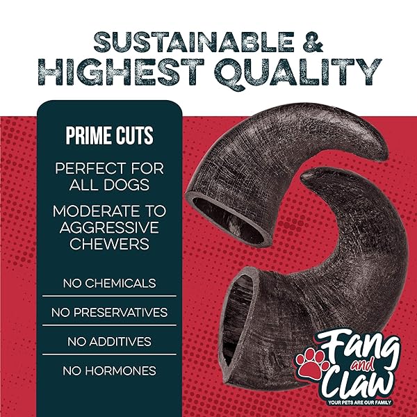 FANG AND CLAW WATER BUFFALO HORN DOG CHEW 4 PACK (MEDIUM 6 INCH), LONG-LASTING NATURAL CHEWS FOR AGGRESSIVE CHEWERS, SINGLE-INGREDIENT, NO RAWHIDE