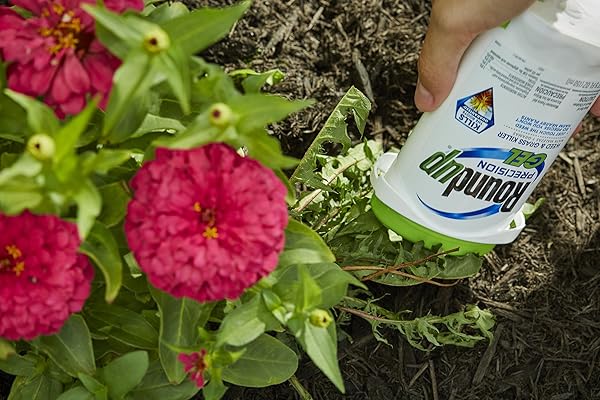 ROUNDUP PRECISION GEL WEED & GRASS KILLER 5 OZ (150ML)