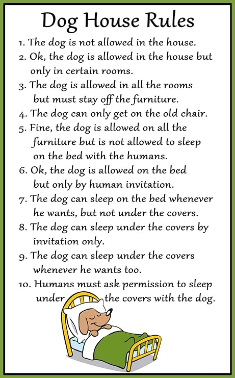 the dog house rules