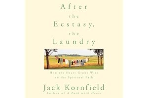 After the Ecstasy, the Laundry: How the Heart Grows Wise on the Spiritual Path
