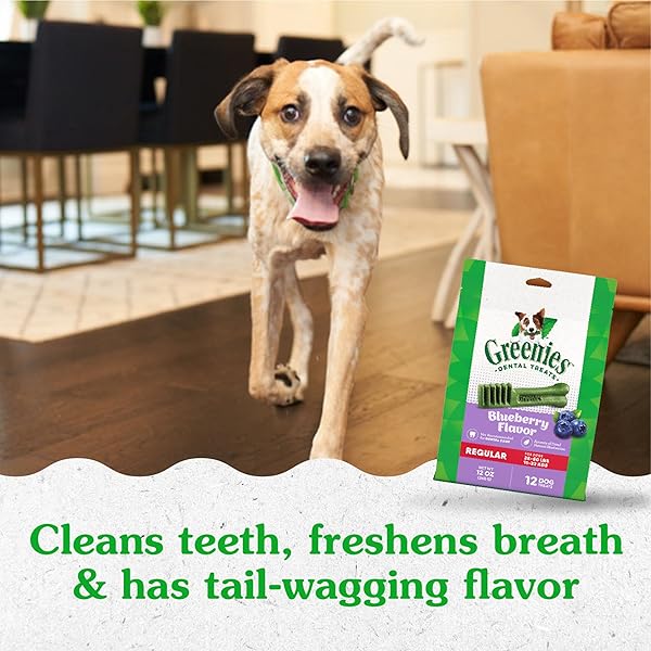 GREENIES VETERINARIAN-RECOMMENDED NATURAL DENTAL DOG TREATS, DENTAL CHEWS FOR DOGS, REGULAR SIZE, BLUEBERRY FLAVOR, 12 OZ. PACK, 12 COUNT