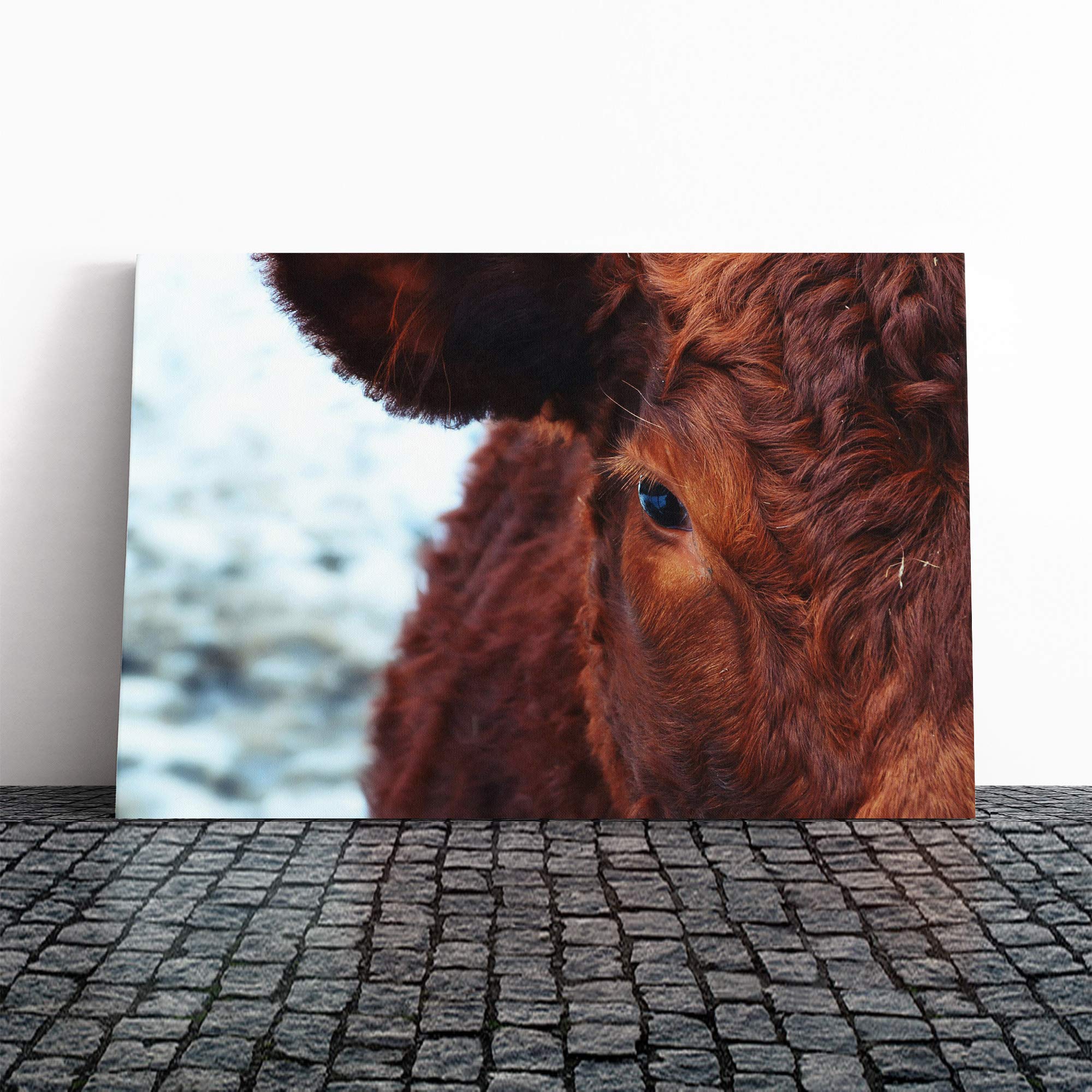 Cow in The Meadow (2) Canvas Print | Gallery Wrapped 30mm Frame Wall Art | 20x14 inches | Ready to Hang | Modern Animals Picture | Living Room Bedroom Lounge Office