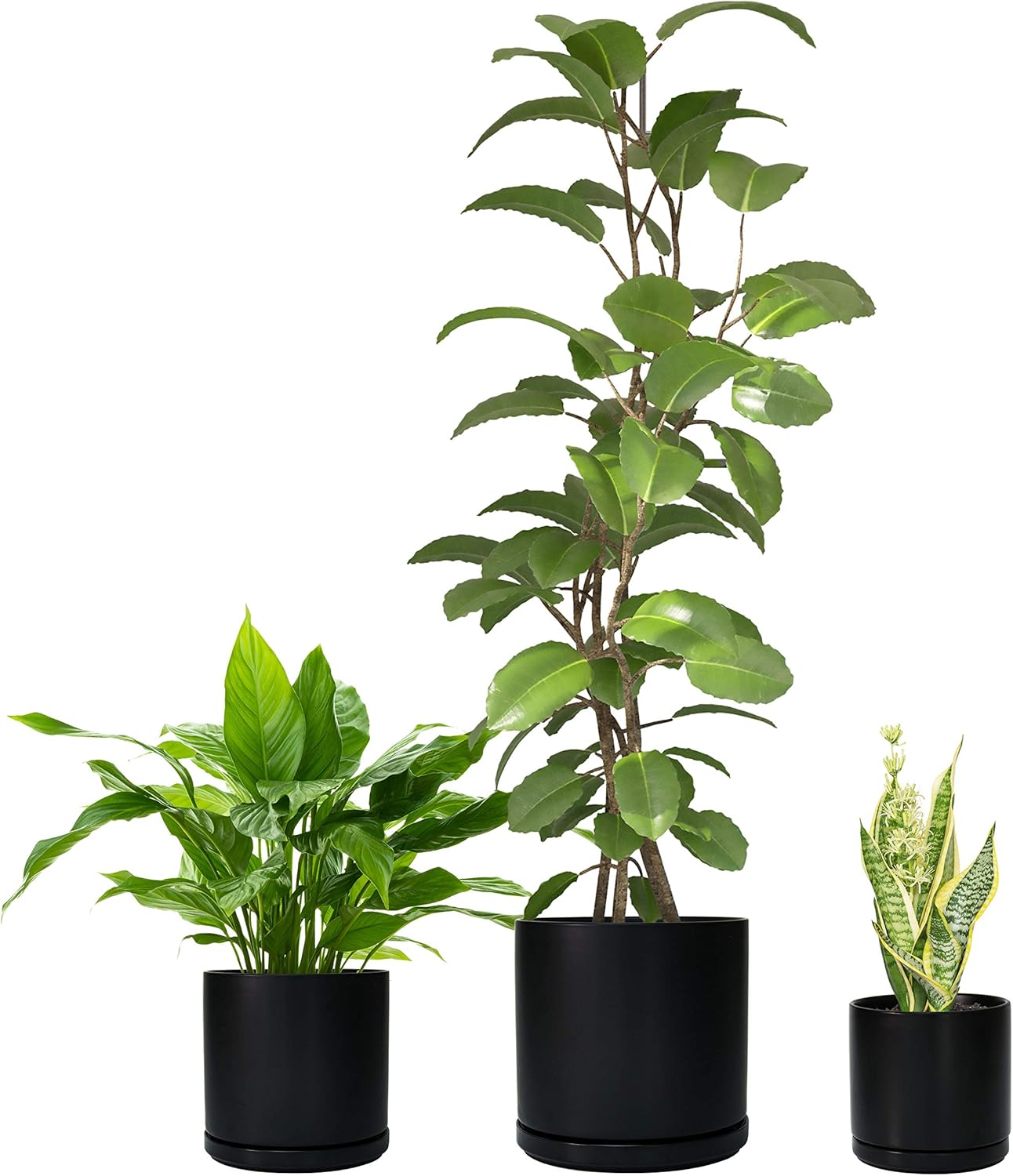 pix 10 Inch Planter Pot With Drainage evertribe