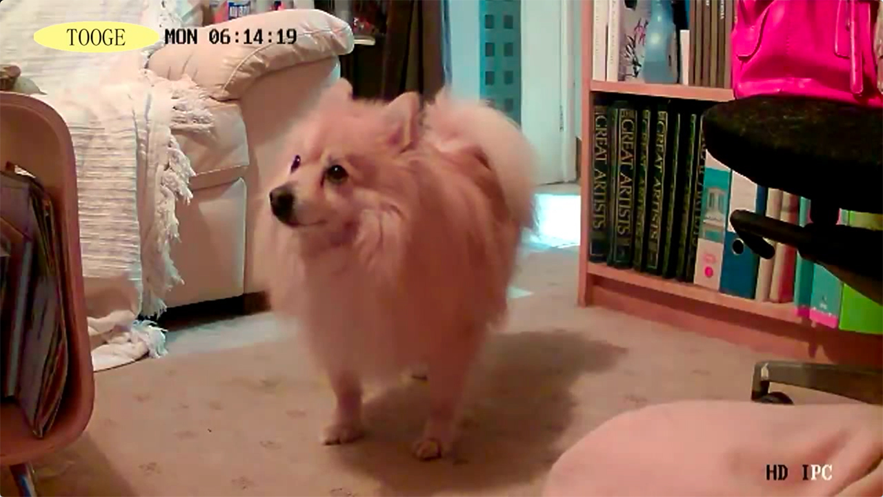 6 TOOGE+Camera+Monitor+Detection+Updated