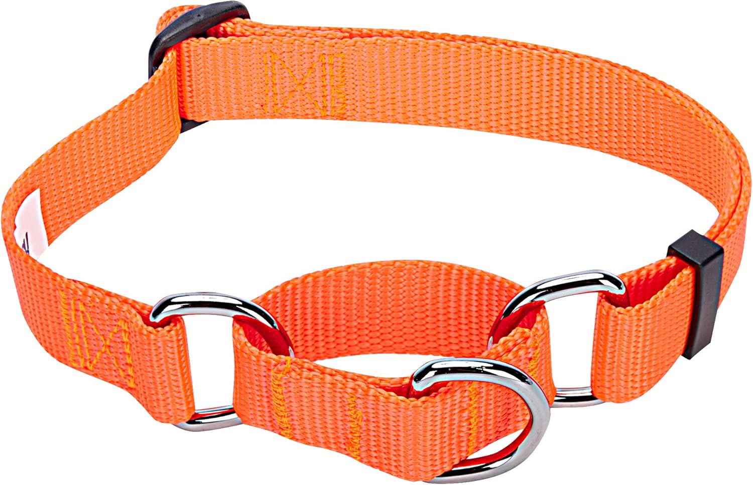 Blueberry Pet Safety Training Martingale Dog Collar, Florence Orange