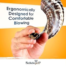 HalleluYAH Authentic Ram Shofar