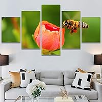 SIGNWIN 5 Panel Canvas Wall Art Modern Art Bee Butterfly Colorful Contemporary Insects Multicolor Photography for Home Decorations Ready to Hang - 60