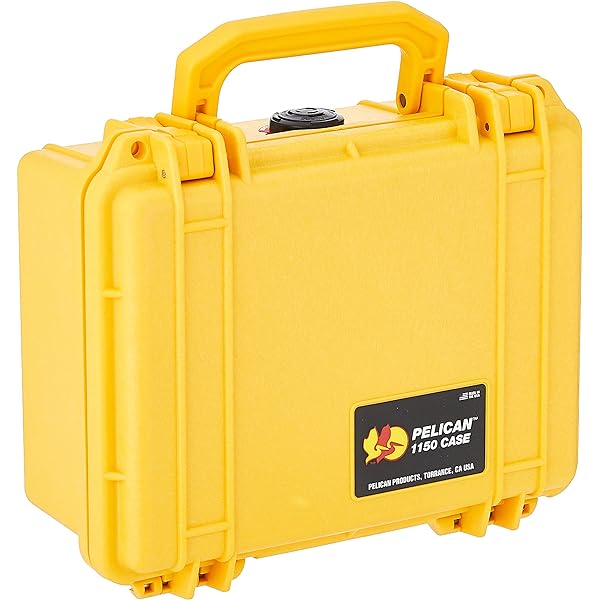 Amazon.com : Pelican Protector 1120 Case by ColorCase - Orange