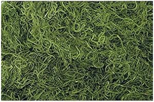 Shinoda Design Center 1 lb Bag Preserved & Dyed Green Spanish Moss (0905301704)