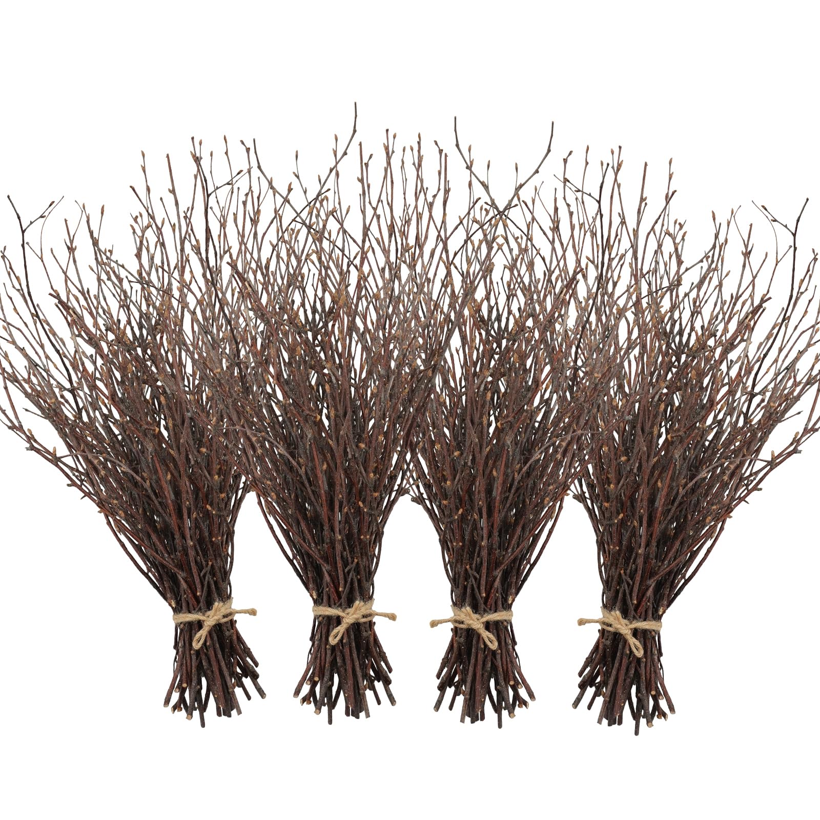 Photo 1 of Uieke 200PCS Birch Twigs – 17 Inch Natural Dried Plants Decorative Birch Branches for DIY Crafts, Birch Sticks for Vases Wedding Arrangements Home Wreath Decor