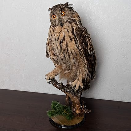 stuffed owl for sale