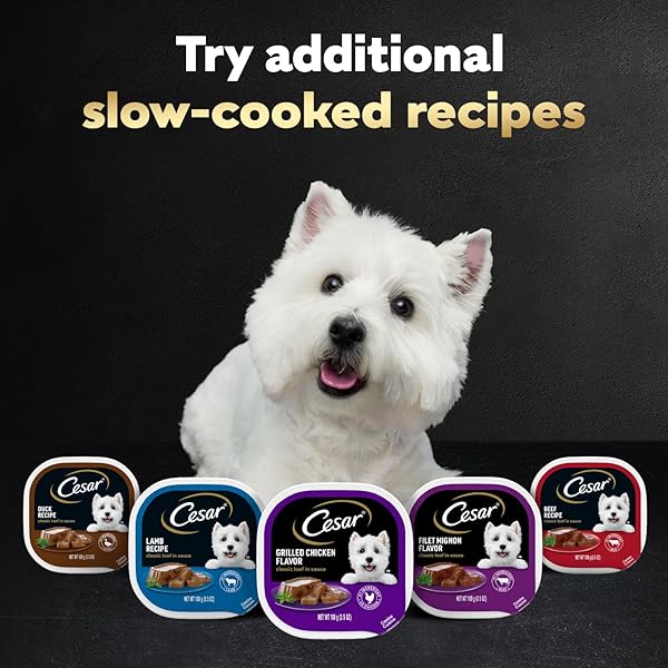 CESAR ADULT WET DOG FOOD CLASSIC LOAF IN SAUCE BREAKFAST AND DINNER MEALTIME VARIETY PACK, 3.5 OZ. EASY PEEL TRAYS, PACK OF 12