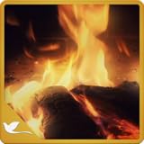 Calm Fireplace TV