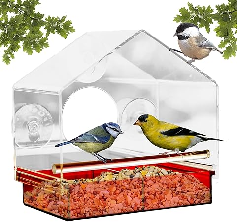 Amazon Com Outdoor Amor Window Bird Feeder With Strong Suction