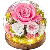 Rose in Glass Dome Flowers for Delivery Prime Preserved Roses Forever Flowers Rose Globe Ball Flower Globe Gift for Women Mom Grandma Wife Friend Birthday Mothers Day Pink