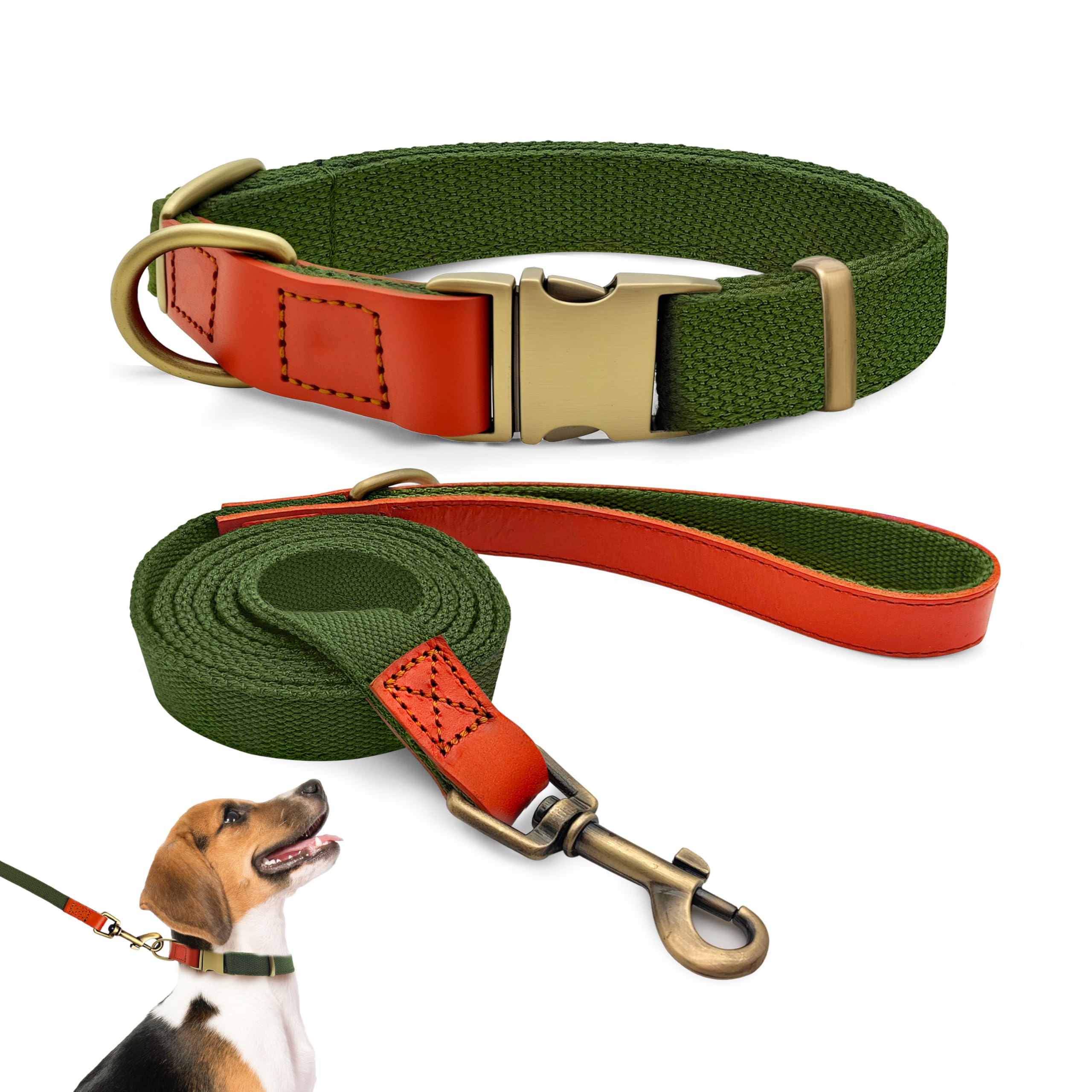 QRDA Dog Collar and Lead Set Army Green Personalized Adjustable Tactical Belt for Small Dogs Medium Dogs, M
