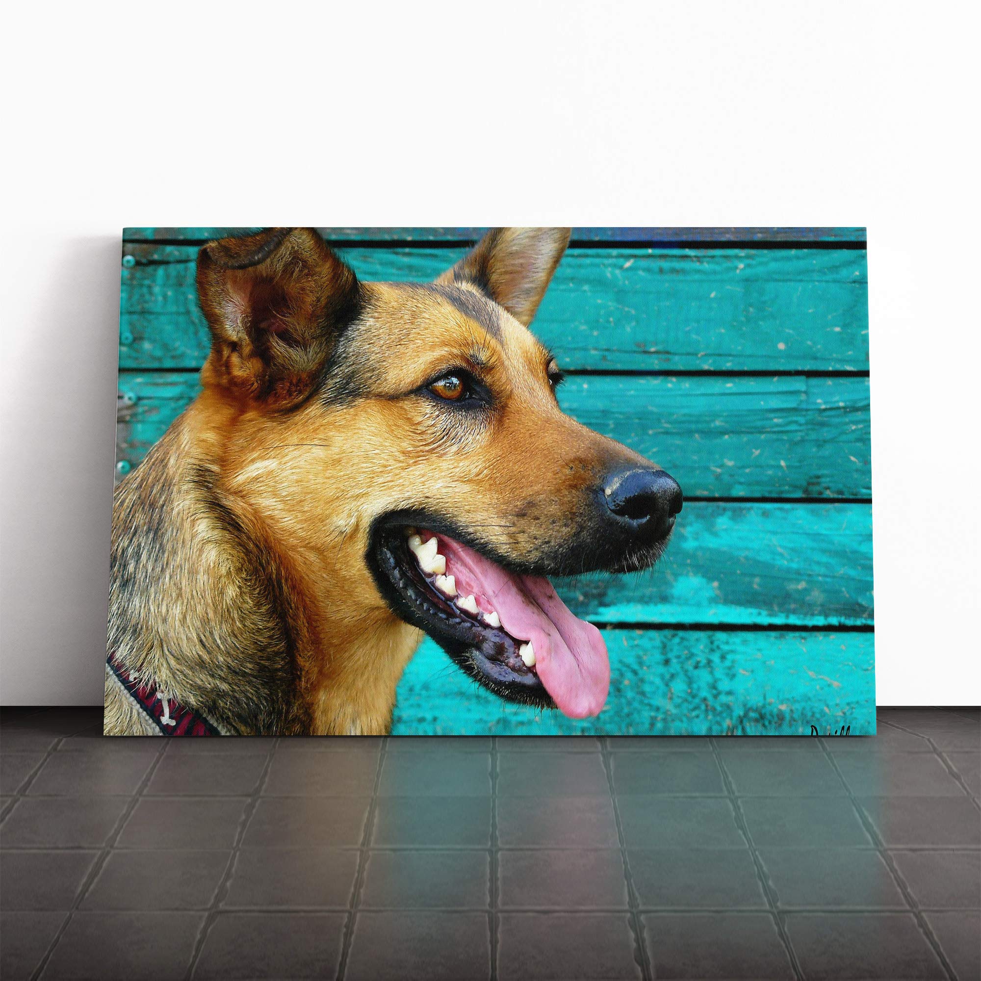 German Shepherd Alsation Dog Vol.2 Canvas Print | Gallery Wrapped 30mm Frame Wall Art | 20x14 inches | Ready to Hang | Modern Animals Picture | Living Room Bedroom Lounge Office