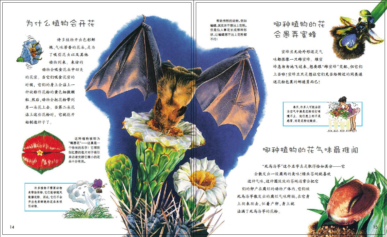 麦克米伦金牌童书 我想知道为什么 为什么树叶会改变颜色 Amazon Com Books