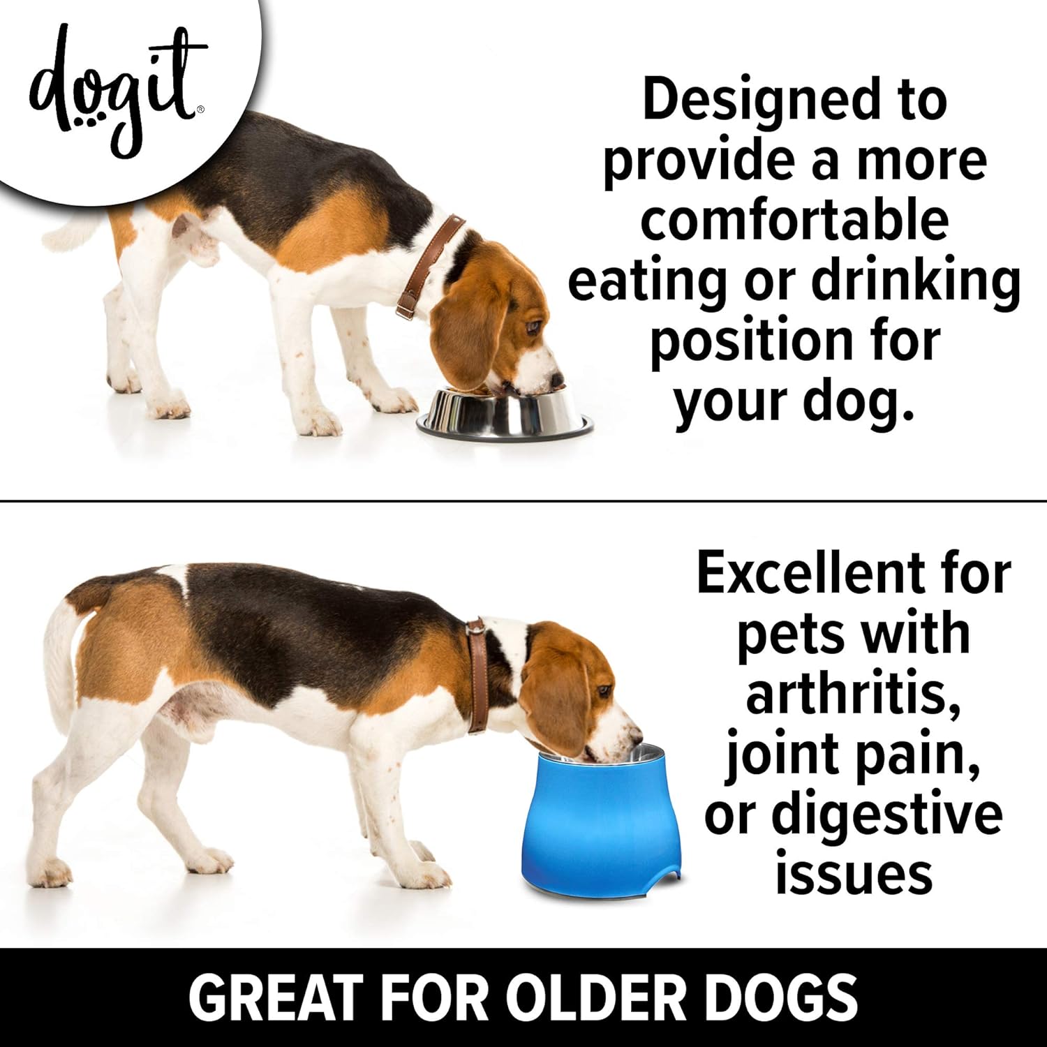 Dogit Elevated Dog Bowl, Stainless Steel Dog Food and Water Bowl for Small Dogs, Blue, 73743: Home & Kitchen