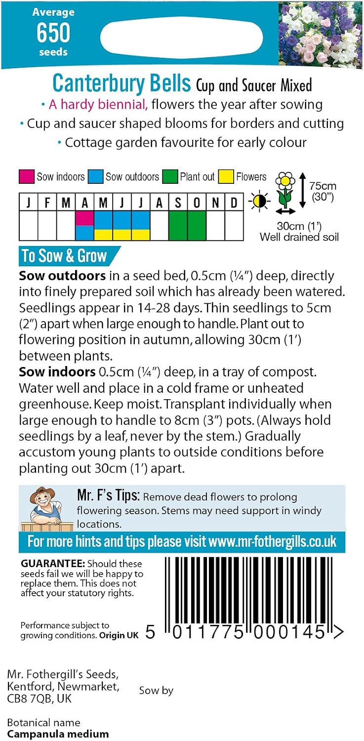 Mr Fothergill?s Seeds Ltd 11999 Mr Fothergill's Seeds Ltd Canterbury Bells Cup & Saucer Mixed,75 cm - Image 3